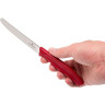 Набор кухонных ножей Victorinox 6.7111.31, 3 предмета